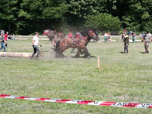 IMG_20260523_151736